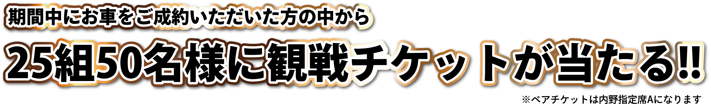 千葉ロッテマリーンズペア観戦チケットプレゼントキャンペーン